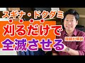 除草剤を使わないで刈るだけで倒せるスギナ・ドクダミなどの地下茎の雑草対策は春から始める話【庭師が解説】