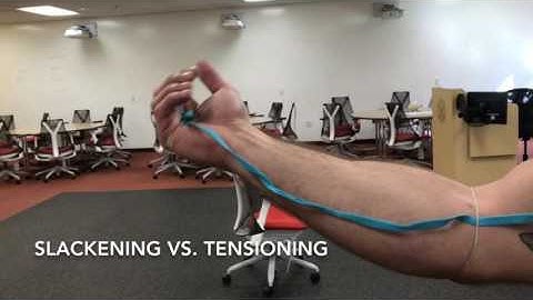 Science Saturday: "Median Nerve Neurodynamics