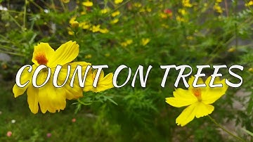 COUNT ON TREES MV ( cover with lyrics)