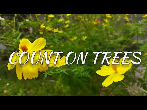 COUNT ON TREES