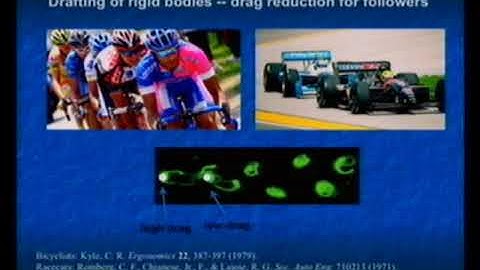 Waves in Fluids III - Jun Zhang