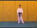 ITF Taekwon Do Patterns 1 Of 14 Saju Jirugi 