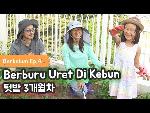 Video: Berkebun Bersama Bayi – Mungkinkah Berkebun Bersama Bayi