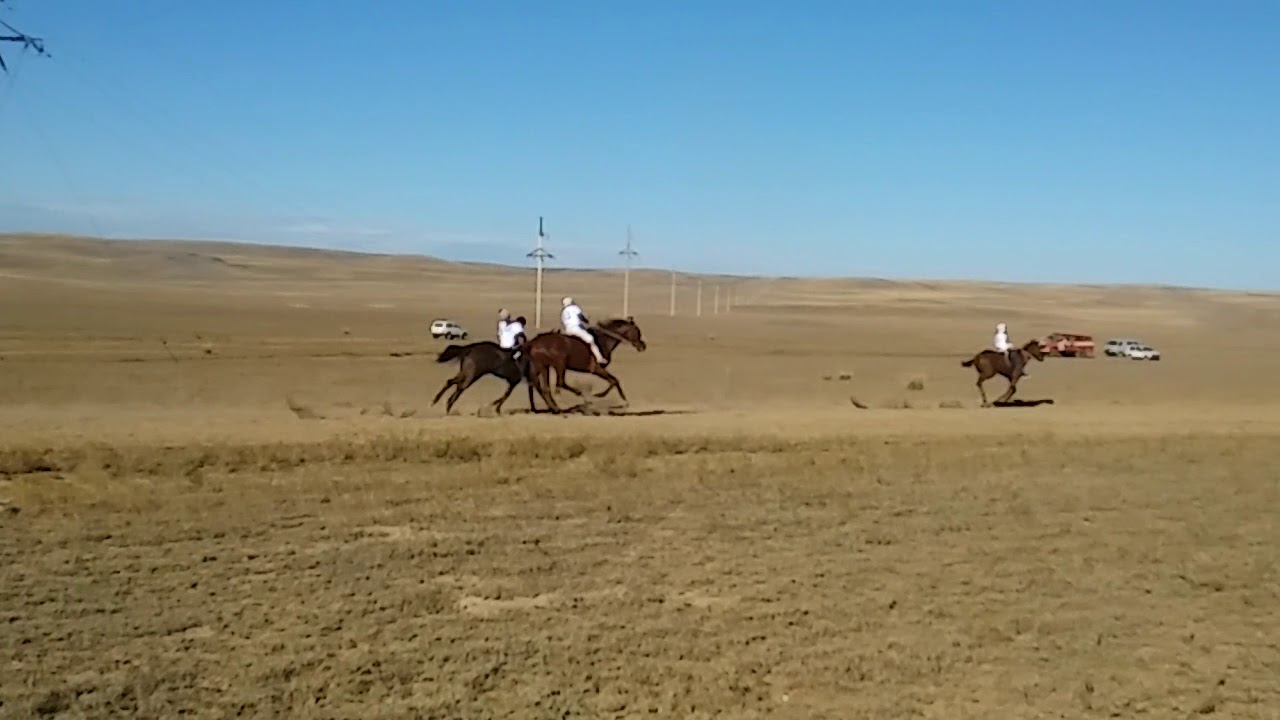 Аламан 25 шақырым.