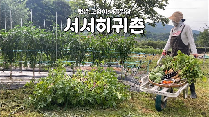 수레 한 가득! 오늘도 풍성한 수확 🍆🥬🌶️