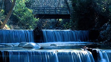 سورة الإخلاص - ناصر القطامي