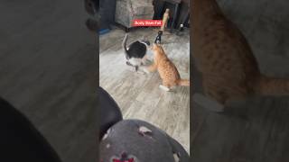 Matilda went Nope.