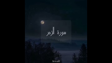 سورة : الزمر القارئ : ياسر الزيلعي