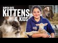 Super cute kittens  kids  adam hensons farm diaries  fridays with fran ep23