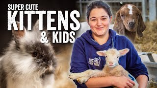 Super Cute Kittens & Kids  Adam Henson's Farm Diaries  Fridays with Fran Ep23