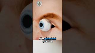 Gözlerinizi Çıkarırsanız Ne Görürsünüz? 👁️🌑🧠 Resimi