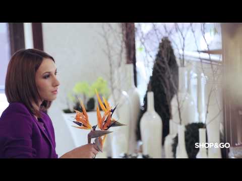 Backstage photoshoot СЛАДКИЕ МЕЧТЫ Fashion. People SHOP&GO