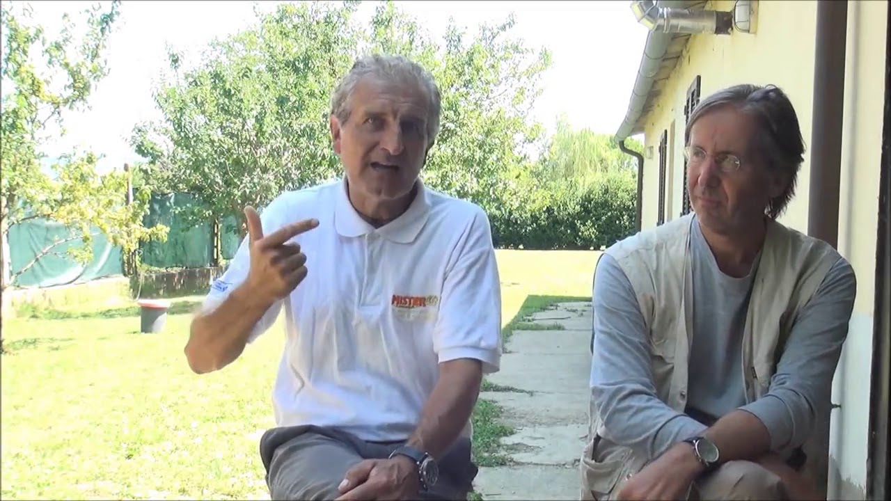 Allevamento Setter Inglesi Nencini's - Dresseur e Allevatori a confronto