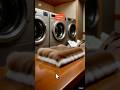 Japan’s Viral Coin Laundry Trend 🇯🇵 | Why Everyone is Using Laundromats in 2026 #dailylifeinjapan