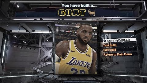 LeBron James Build 2k20 6’8” SLASHING PLAYMAKER