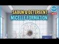 Class 10 Science: साबुन और डिटर्जेंट (Micelle Formation) | #Board #Exam #2026 #upboard #education
