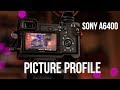 Sony a6400 Picture Profiles/ Пикчер профили Сони а6400