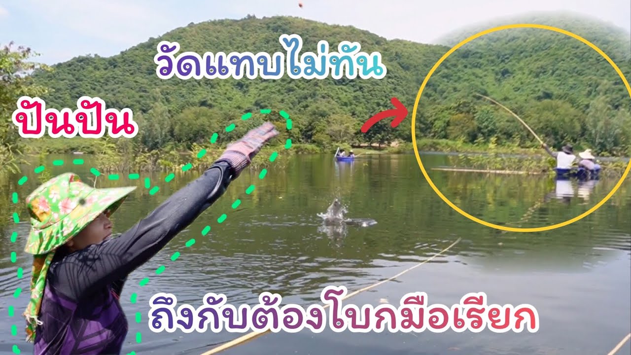 #ตกปลาคันไม้ไผ่ ถึงกับต้องโบกมือเรียก โดนฝูงจนวัดแทบไม่ทัน #ปันปันกับคันไม้ไผ่