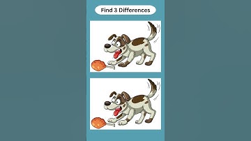 Spot The Difference: Do You Have an Eagle Eye?Test Your Observation Skills! [ Find The Difference ]