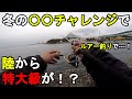 【神奈川県某所】冬の〇〇チャレンジで特大級が！？極寒の12月に、関東地方の東京湾側に面した釣り場で、ルアー釣りと餌釣りで巨大な〇〇を狙って釣りをし続けてみたら…！【2022年12月】