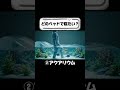 特殊なベッドに寝る音【ASMR】どれが好き?