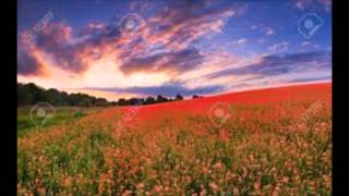 Freddy Quinn - La feria de las Flores chords