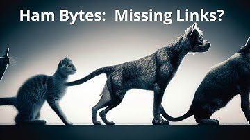 Ken Ham Has a Missing Links Problem? Where are the  Intermediate Fossils Between Canine Species?
