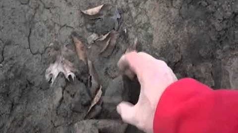 DF 11  Arrowheads and Nutting Stones