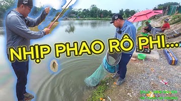 NHỊP PHAO CÁ RÔ PHI DỊCH VỤ - PHÚC HÀ FISHING