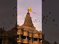 JAY Dwarkadhish 🙏🚩 #dwarkadhish #jsk #krishnalove