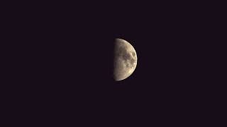 Moon Phases in 2024