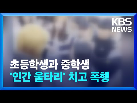 수십 명이 에워싸고 집단 폭행 가해자 대부분 촉법소년 KBS 2023 10 31 