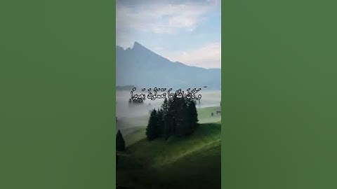 واتس اب قران كريم القارئ ياسر دوسري (سوره الأحزاب)