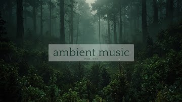 the clock says 3:01 a.m. but time stopped hours ago...