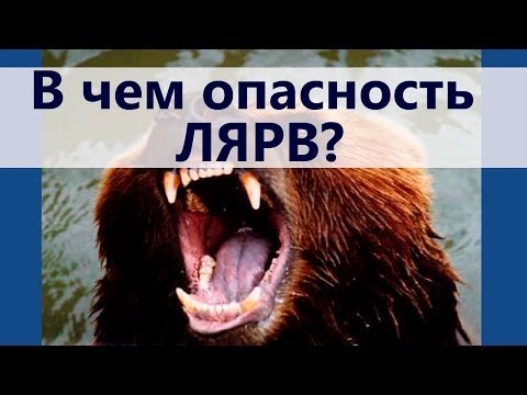 Осторожно - Лярвы! В чем их опасность?