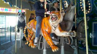Carousel at Turtle Back Zoo