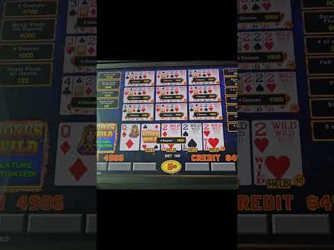 Understanding Deuces Wild Gameplay and Payouts