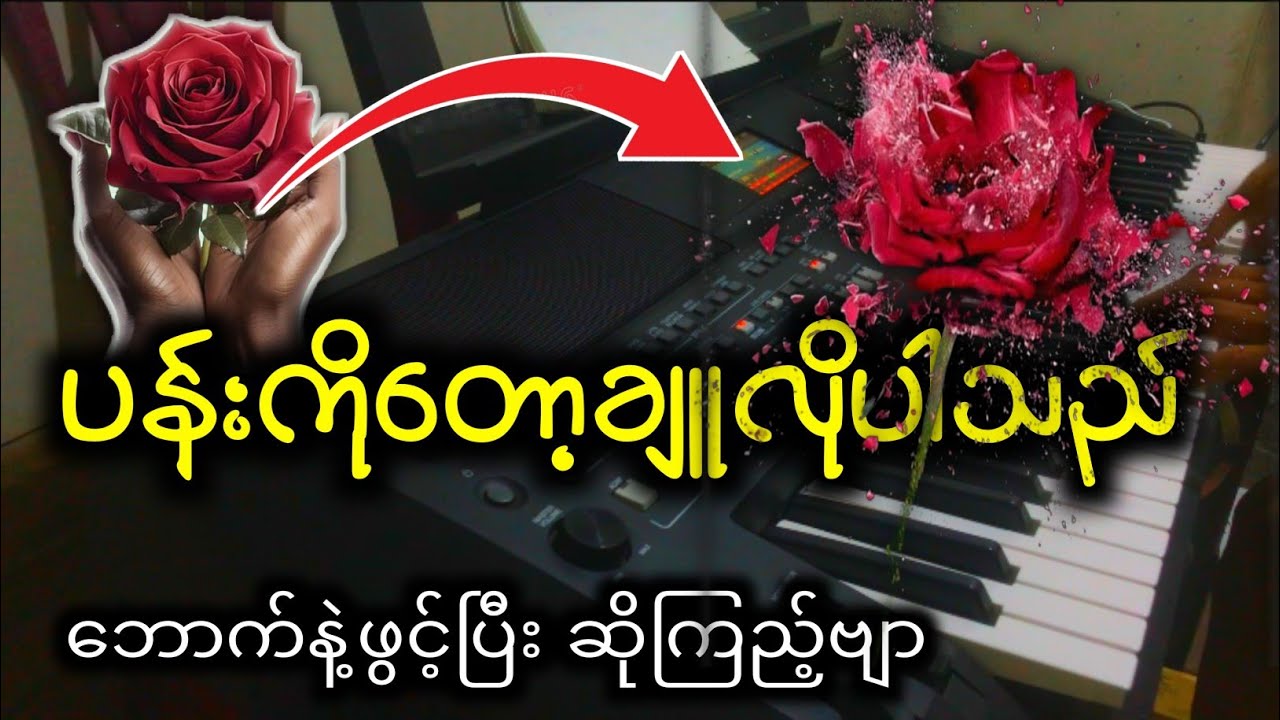 ပန်းကိုတော့ချူလိုပါသည် ရှယ်ကောင်းဗျာ #kbkothit