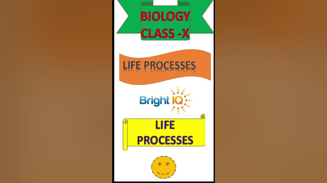 science-class-10-biology-what-is-saprophytic-nutrition-brightiq