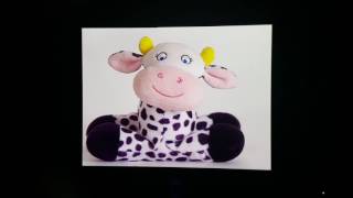 Closing To Baby Einstein 2002 Dvd