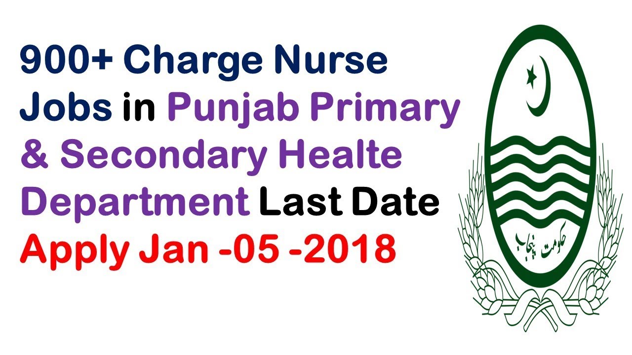 900 charge nurse jobs in punjab primary secondary healte