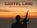 Cartel Land Interview with Matthew Heineman