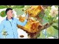يا شجرة البسبوسه غناءمصطفي عويس توزيععلي نوفل اجمل اغنيه رومانسيه mp3