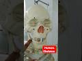 Skeleton of human|मानव कंकाल|#anatomy #bmlt