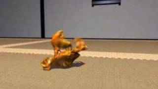 CrabFu