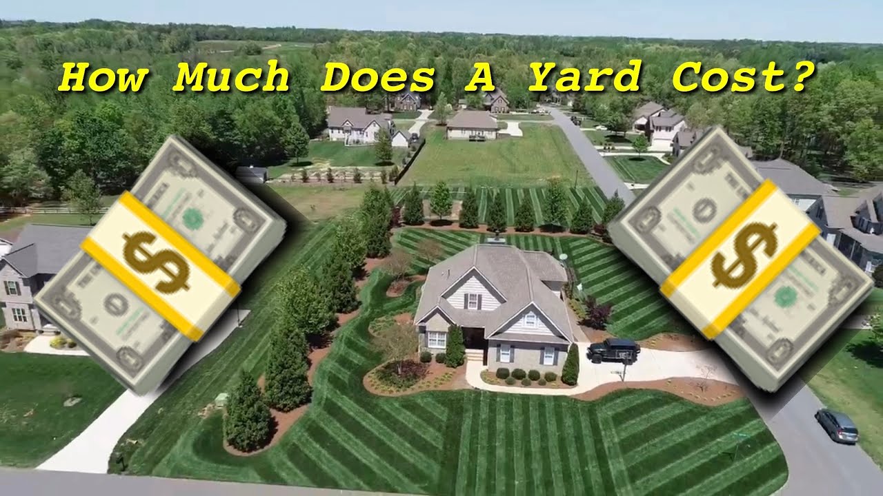 How much Money Do I Spend On A Yard? - YouTube