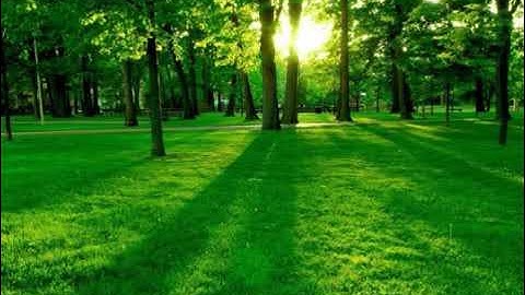 سورة الفرقان توفيق بن شعبان