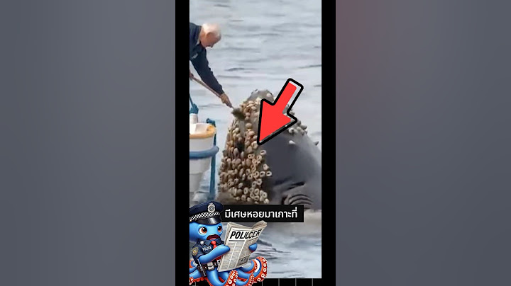 คุณคิดว่านี่คือ ai หรือของจริง #เล่าเรื่อง #interesting  #talent