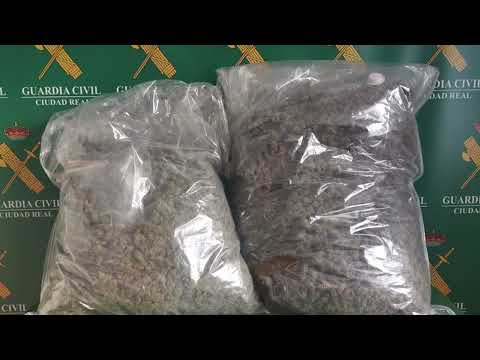 Detenido Conductor A-4 por Transportar Marihuana Noticia Informativos 12/07/2022