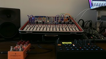 Buchla Easel/Digitakt - Sand & Sea